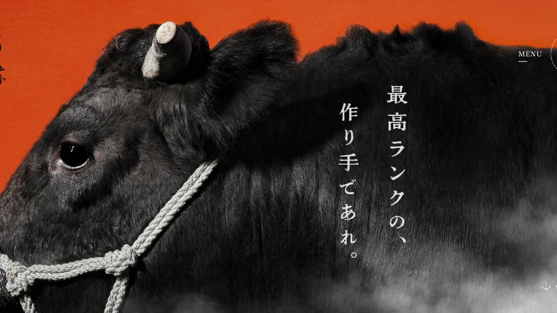 養老ミート-攝影＆排版